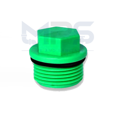 Plug 2